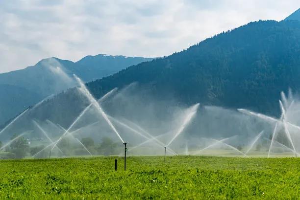 鋪設(shè)滴灌管時(shí)我們應(yīng)該注意什么？